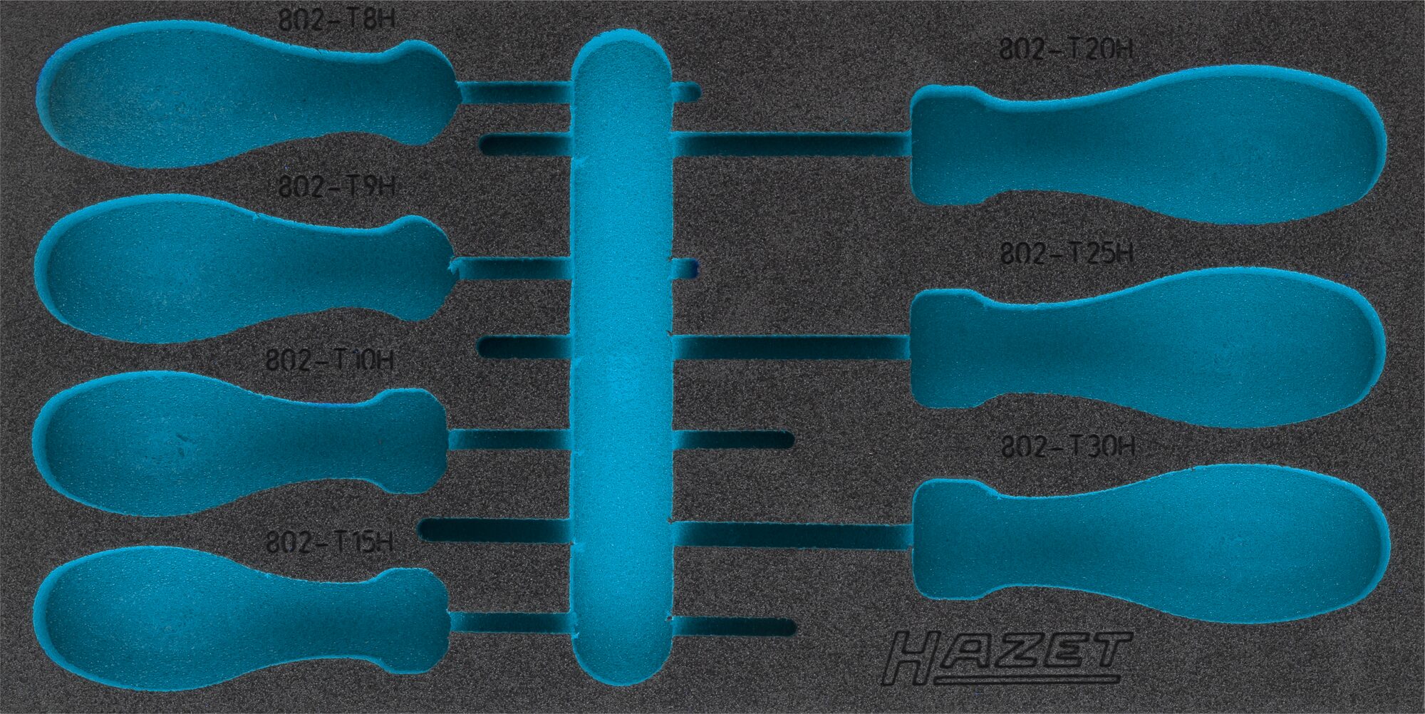 HAZET 2-Komponenten Weichschaum-Einlage 163-422L