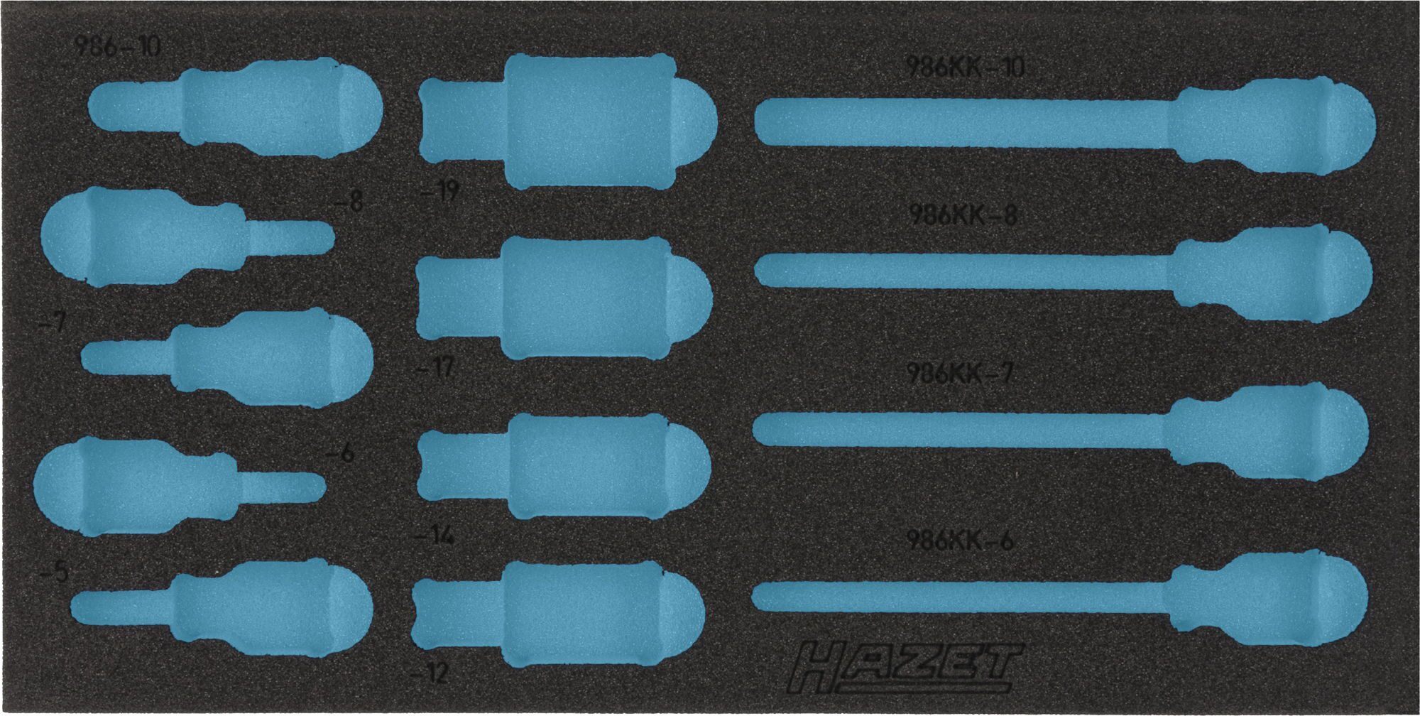 HAZET 2-Komponenten Weichschaum-Einlage 163-220L