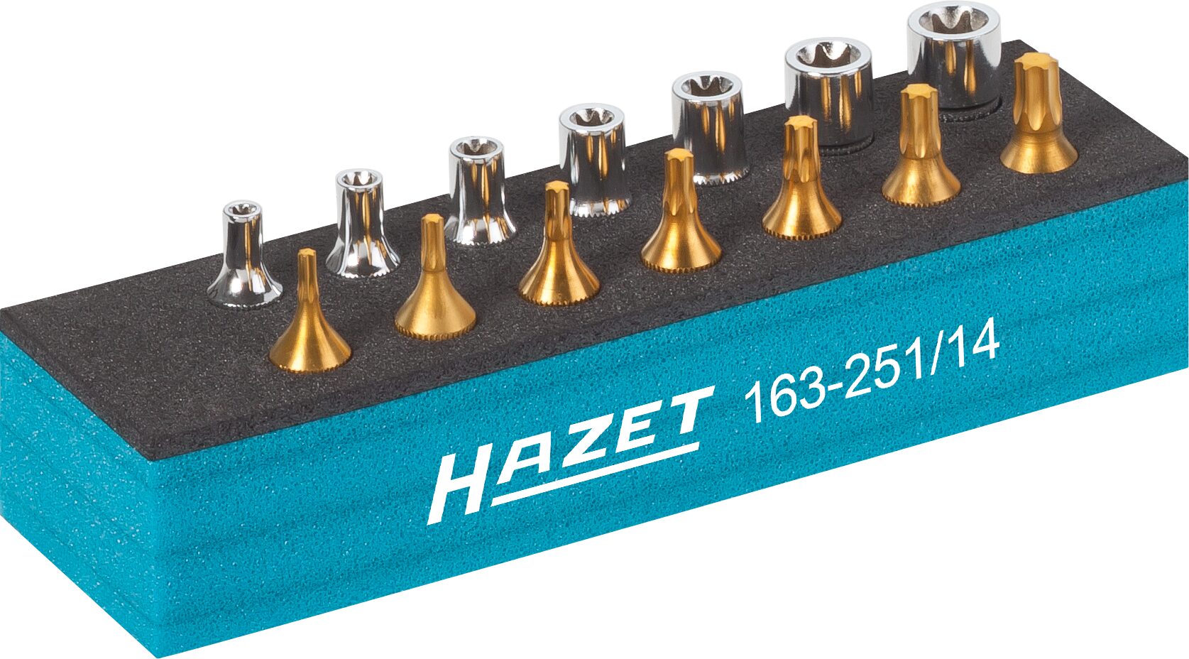 HAZET Werkzeug Satz · TORX® 163-251/14 · Vierkant hohl 6,3 mm (1/4
